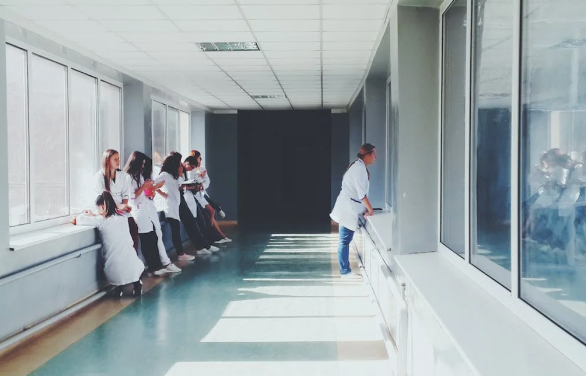 {{brizy_dc_image_alt imageSrc=